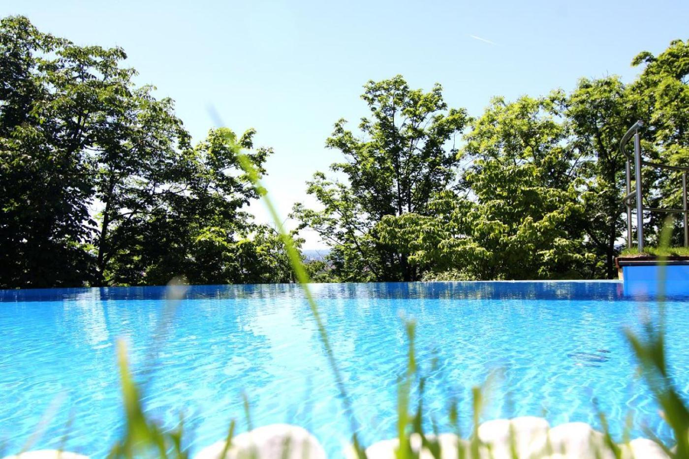 Villa Via Lapis - Panoramablick Ueber Dresden - Garten - Pool - Sauna - Luxus 외부 사진